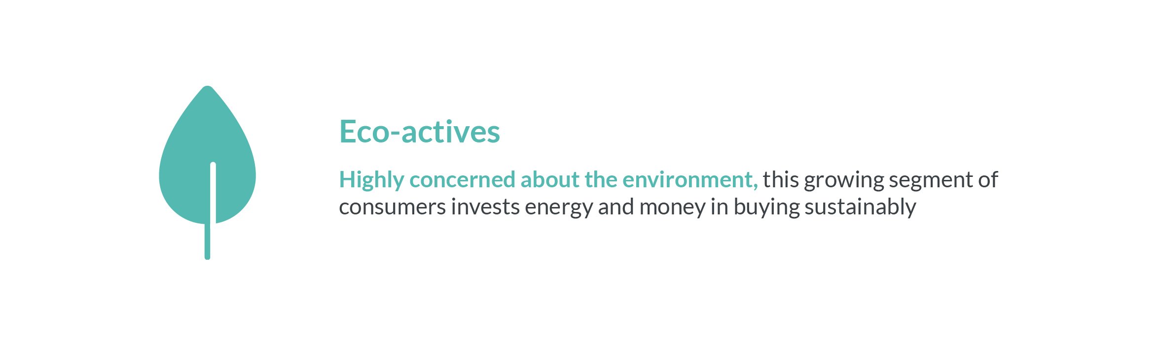 Eco-actives illustration describes these sustainably-minded shoppers